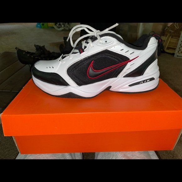 Air Monarch IV - Picture 3 of 6